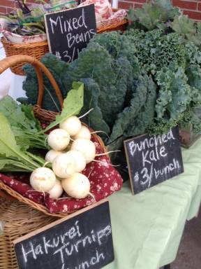 1237643_424923290962585_411912624_n