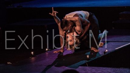 11535856_750902238363369_2476334900401661834_n