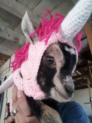 12107276_10153193276990060_120215636183264811_n