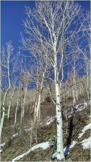 10505438_10152403848410703_7878577537746311026_n