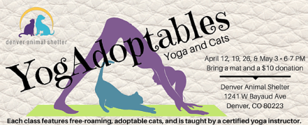 YogAdoptablesWebBanner