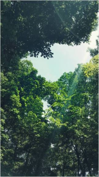 13331071_10153493239350703_3732401996030164478_n